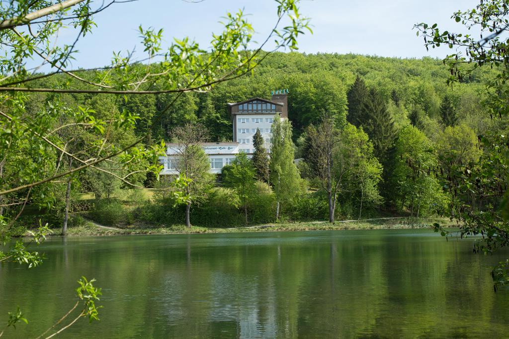 Hotel Reifenstein Kleinbartloff Exterior photo
